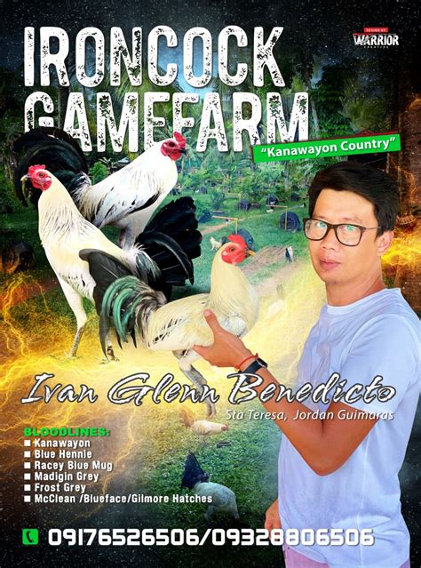 gamefowl services|GameFowl Advertising .